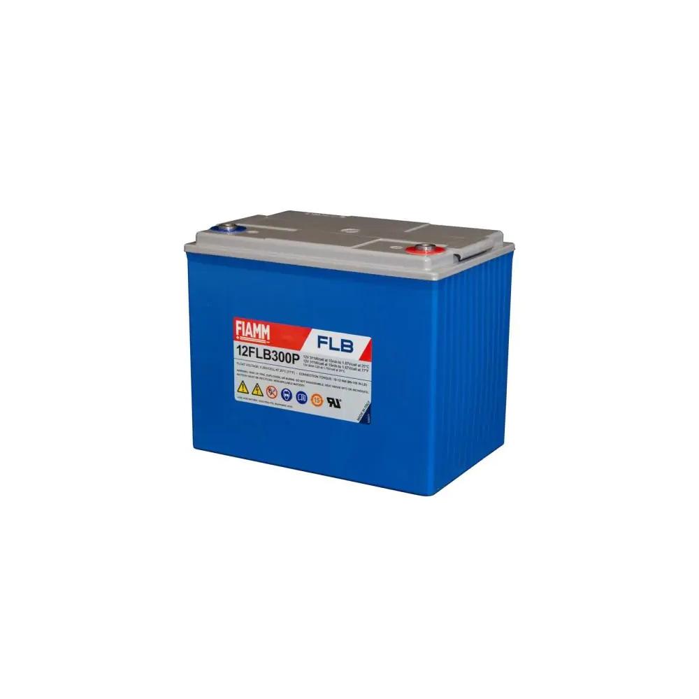 Battery, Fiamm, 12FLP300P, 12V 80Ah