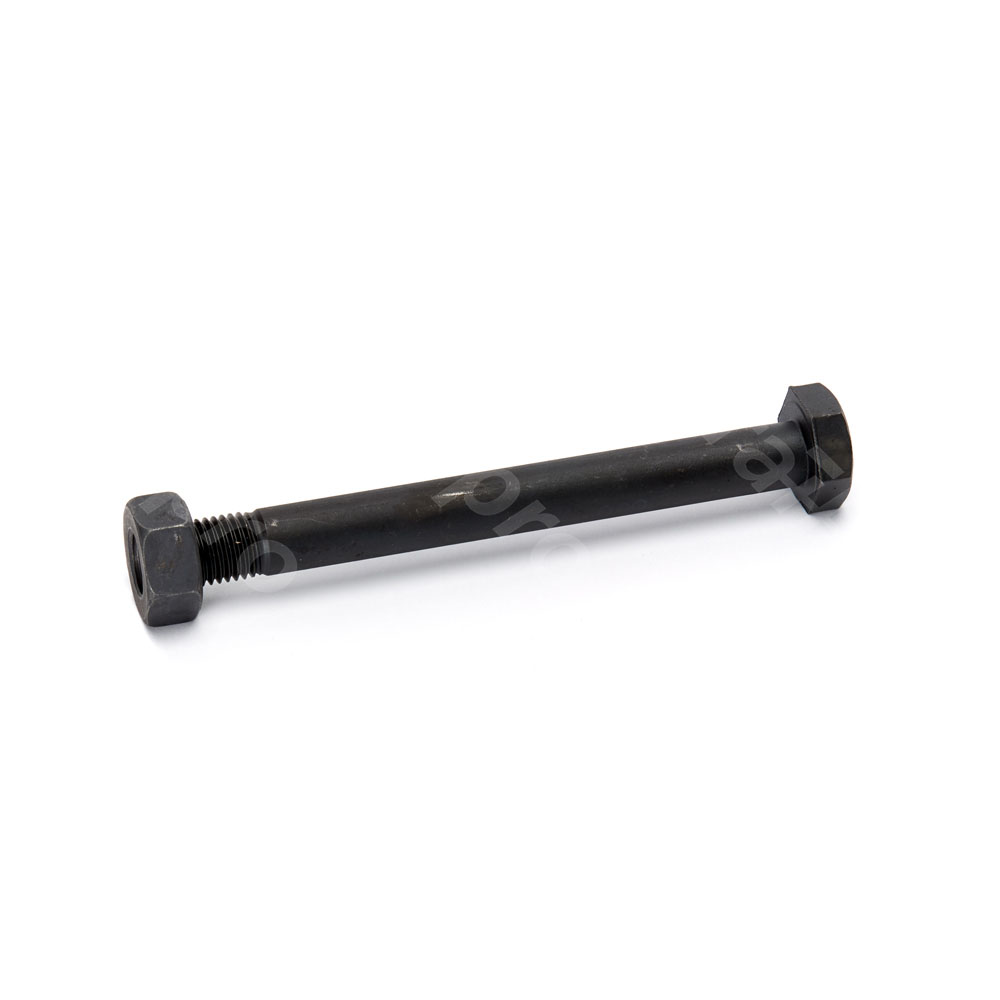 Hex bolt, with nut, 10.9/10, M24x240mm