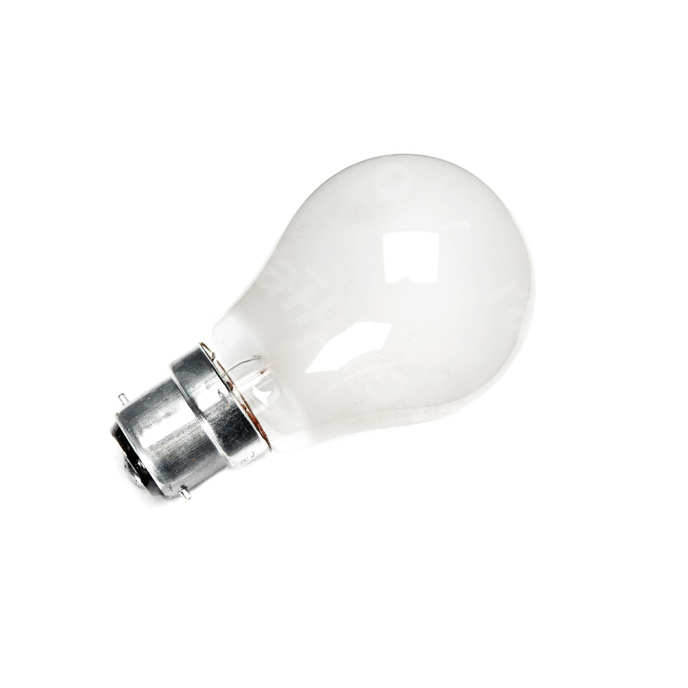 Lamp,incandescent,B22,matt,100W 220V