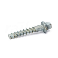 Collar bolt, flat/round under head, 23x170mm