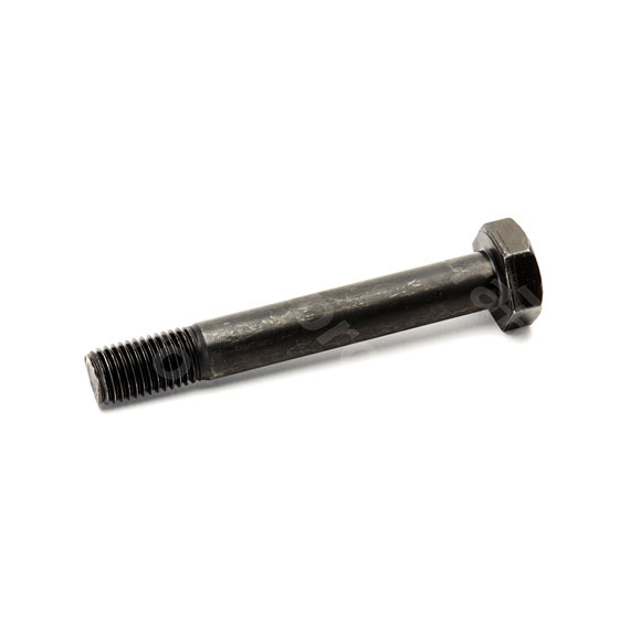 Hex bolt, with nut, 10.9/10, M24x170mm
