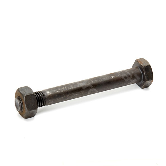 Hex bolt, with nut, 10.9/10, M24x200mm