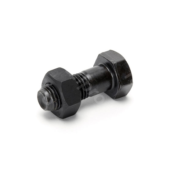 Hex bolt, with nut, M20x55mm
