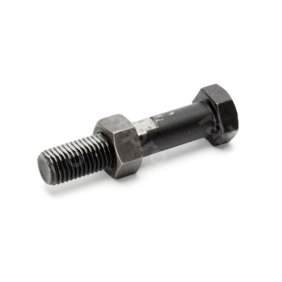 Hex bolt, with nut, 10.9/10, M24x150mm