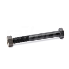 Hex bolt, with nut, M27x220mm, 8.8/8