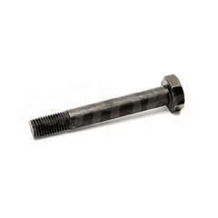 Hex bolt, with nut, 10.9/10, M24x170mm