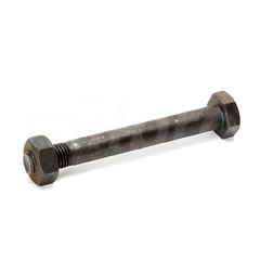 Hex bolt, with nut, 10.9/10, M24x200mm