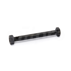 Hex bolt, with nut, 10.9/10, M24x240mm
