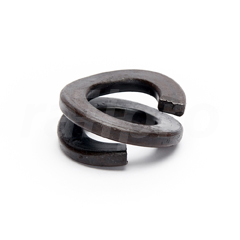 Spring washer, double