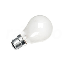 Lamp,incandescent,B22,matt,100W 220V