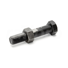 Hex bolt, with nut, 10.9/10, M24x150mm
